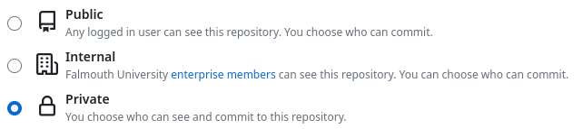 A cropped screenshot showing the three possible visablity options (public, internal, and private) for a repository, private is checked.